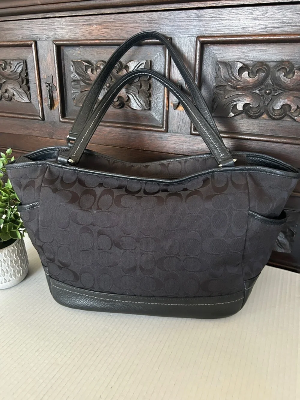 COACH Park Signature Carrie Tote Handbag.